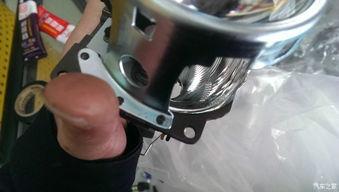 国产精口,匠心独运,品质卓越的国产之光